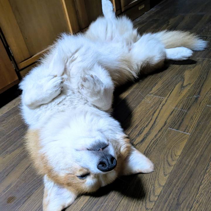 5ca6bbd1 3db3 449a bafd f076ef8b6d56 1764743953584