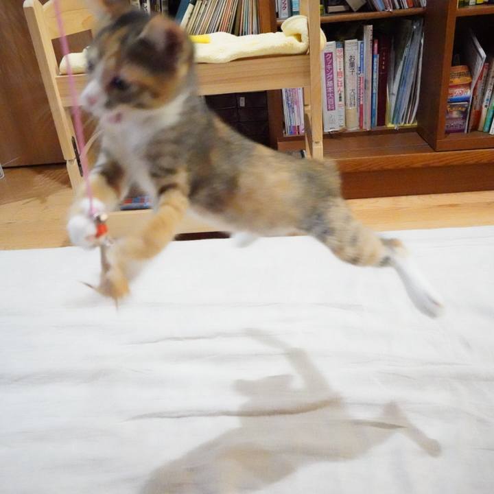 5ca6dc49 336a 4e28 967e ea8a1fd3be2e 1568210149417