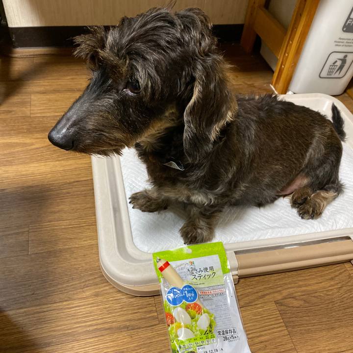 5ca706c3 640b 4d07 b8a0 cc84cd0109f5 1571329928264