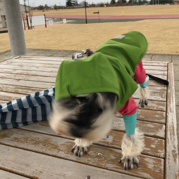 5ca7a334 0d28 43f4 abb4 3eb1cb8b73fe 1648270143876