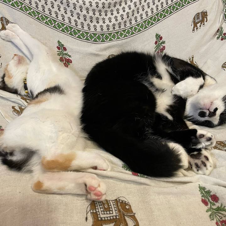 5ca7faf0 0f70 48db 8578 df765ba1547d 1665139210282