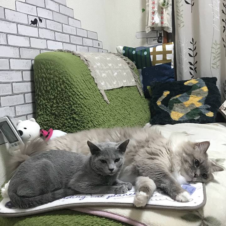 5ca7fc11 4ac7 4e46 8ebc 7804c03d96a6 1512227892409