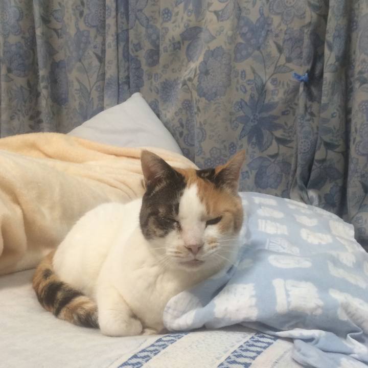 5ca84176 cb2c 41b1 9850 9a4c1f99215e 1552226959793