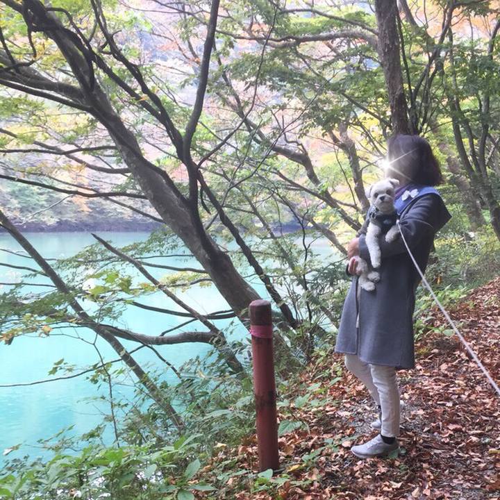 5ca85aba 614a 4b32 9306 7162be918a4c 1510139321431