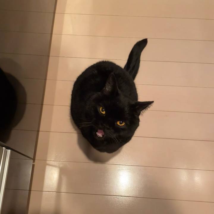 5ca85d98 3fcc 4322 9622 efa0afa03327 1743424432831