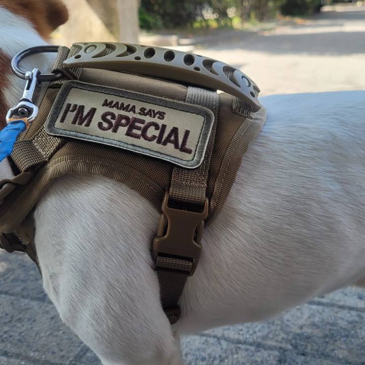 5ca8b092 4592 4772 ba8d 0fa9e856b50d 1657551382270