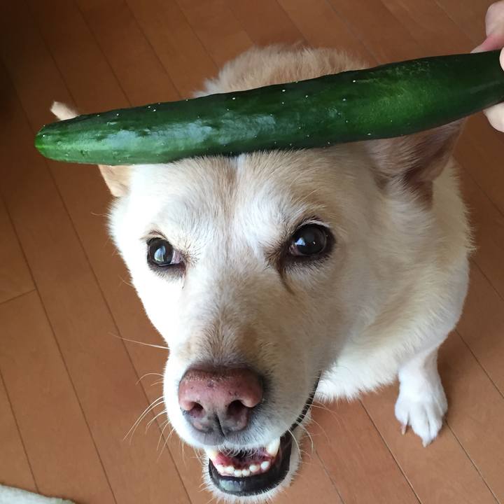 5ca8d451 9f84 4831 bdb7 b083cabb41ad 1529130149748