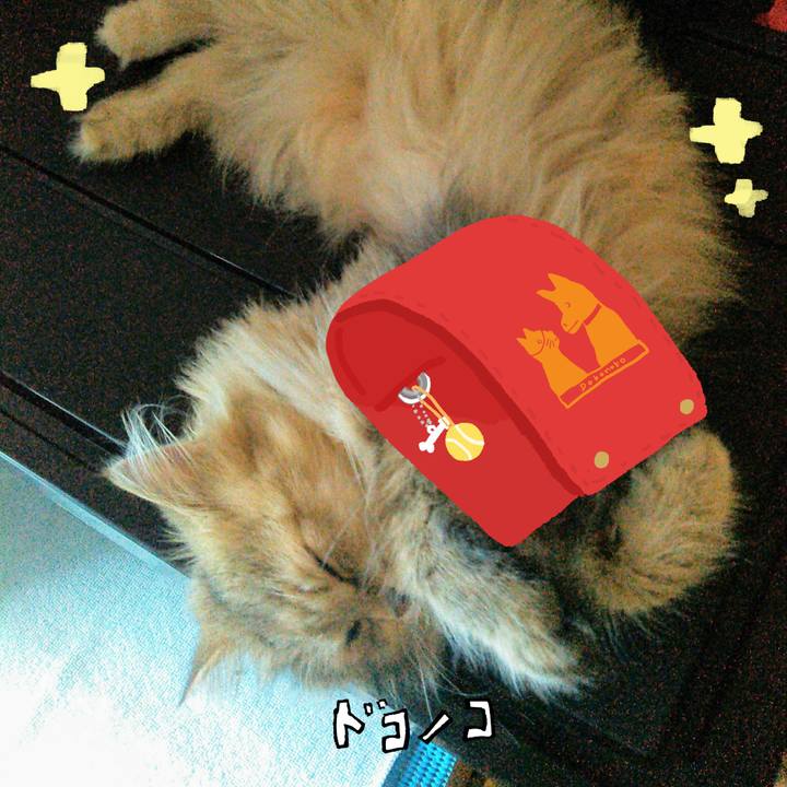 5ca8db7a a455 4d16 a476 752c026c9105 1744409171178