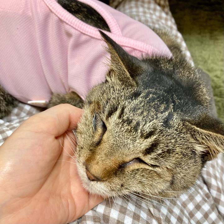 5ca90e62 bb2e 4c41 a56e e57cb55f2810 1685680902038