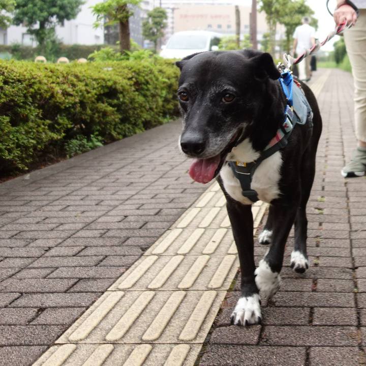 5ca956d8 7d4e 4461 98dd 9ed445db3817 1752192607143