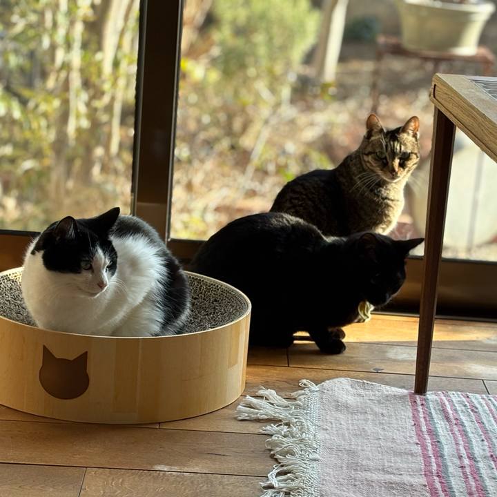 5ca95f26 0142 4a48 bd1f 3d5e670f7be9 1769840819028