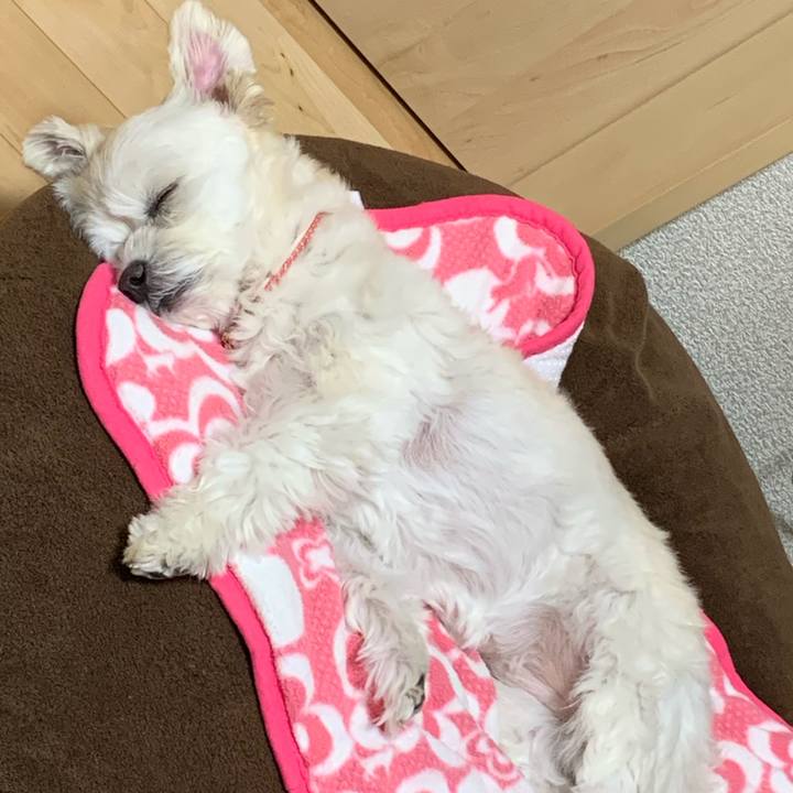 5ca9b01b 6e4e 444d 98c0 86120b7164f8 1612008898999