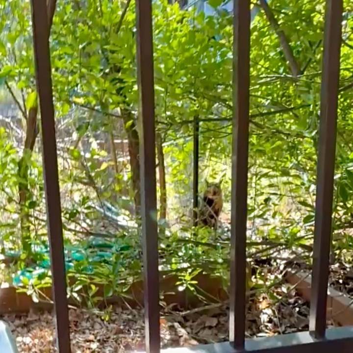 5ca9e6aa ed4e 4d5f 93ea 5ea64c58e3c0 1765370082947