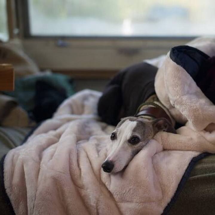 5ca9fe8b 48a3 4d70 8ec3 d7aedfe24e51 1510914394596