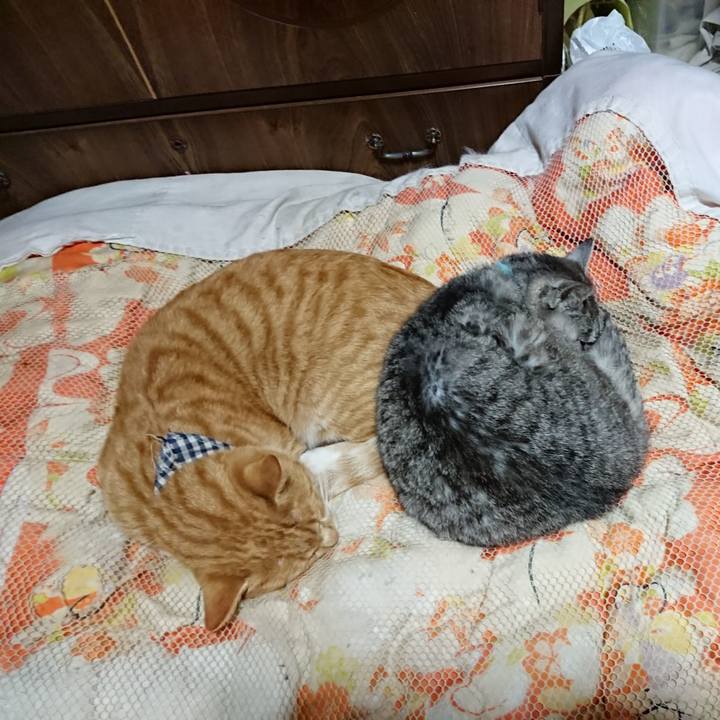 5caa0f1e a595 464f 85a5 06e67c505f65 1572699222643