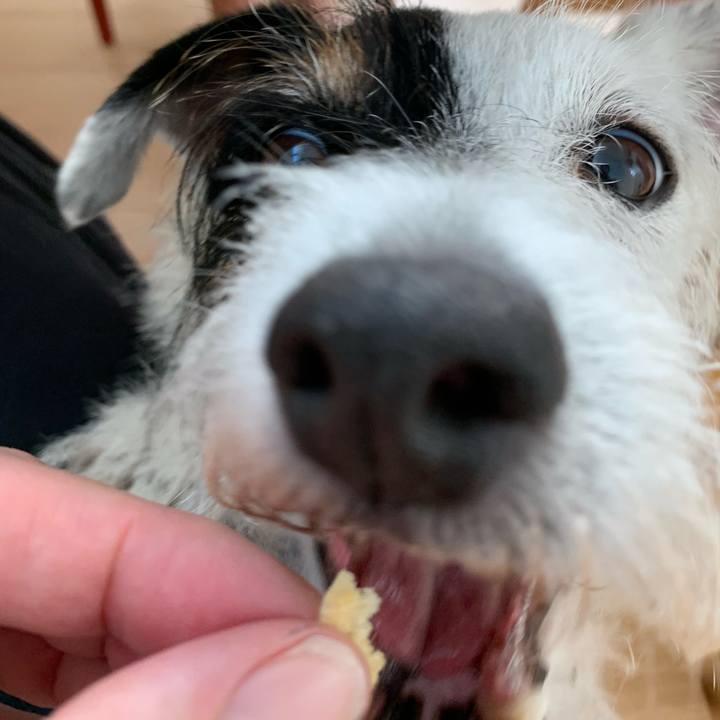 5caa6408 2560 4593 a4ab ce9663fa2cc7 1689549587547