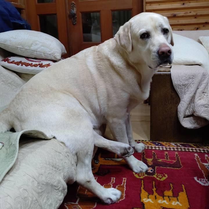 5caa9066 1313 45a8 a48c cd767b4c79c0 1669982714571