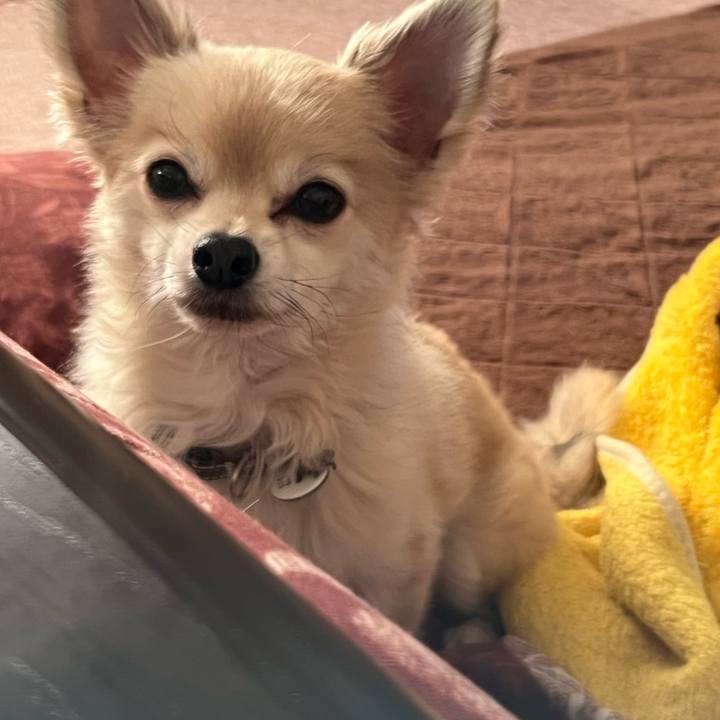 5caad3de 17e5 4b24 a8b5 dffa2564934a 1746398376036