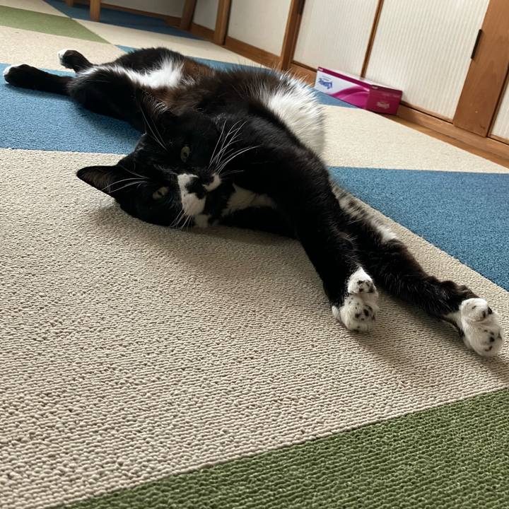 5caae240 07cc 4b2b 9f16 657e248778ed 1756194047348