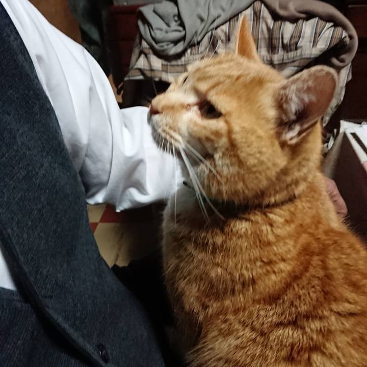 5caae811 39b1 4180 bfc7 9f55d3433673 1581325289568