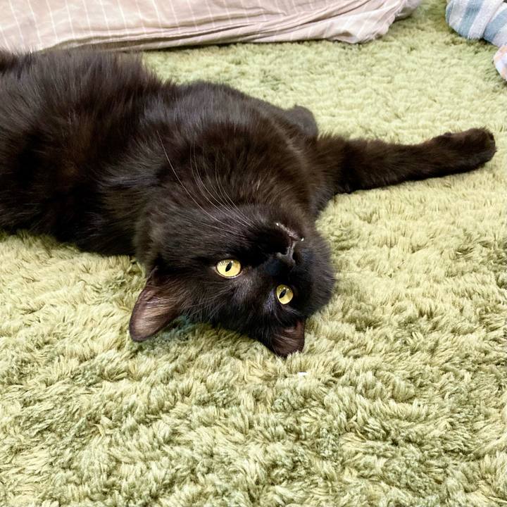 5caaf7ba 5b37 454e 9c0e aac525f5bd63 1719544605272