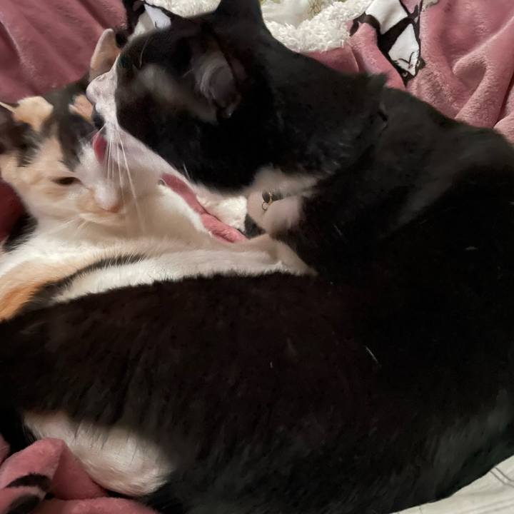 5cab0eb3 bc9a 43a1 965b e2bf57b8fde6 1743738712548