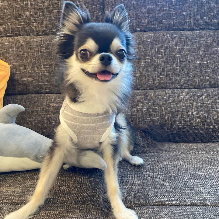 5cab15a1 ad2b 499b 8789 0c60d1a93fd7 1716115649628