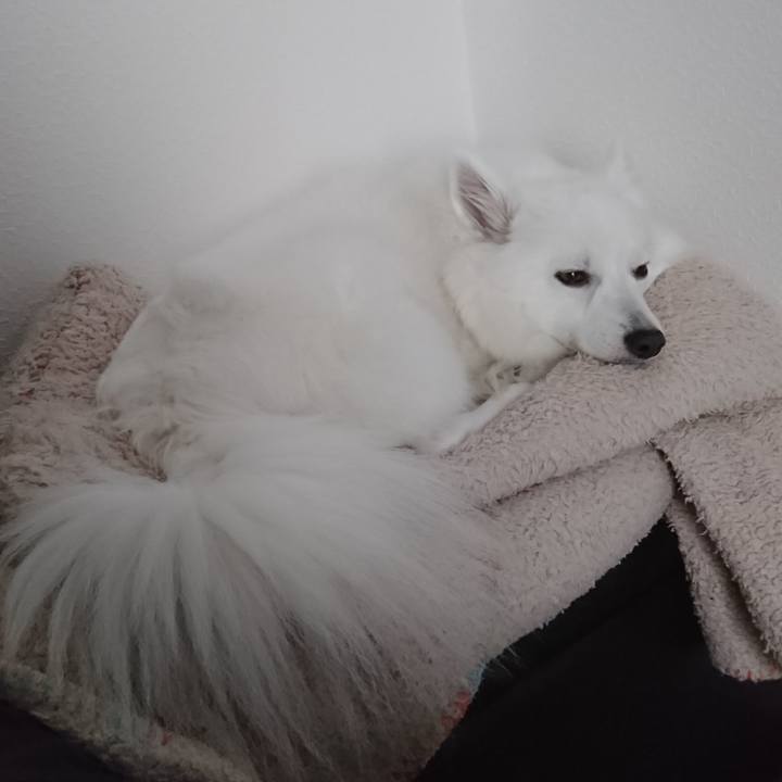 5cab2d9a b1a9 415b 801f bea6964d80a8 1576038461558