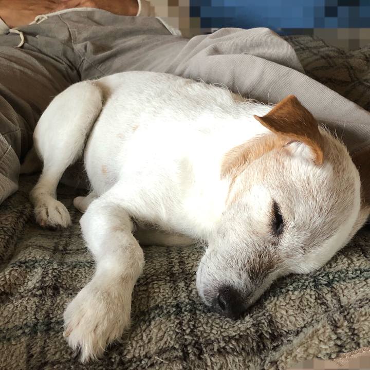 5cab5486 afb8 462e 8e02 fc4b2e4b4c6f 1546596365122