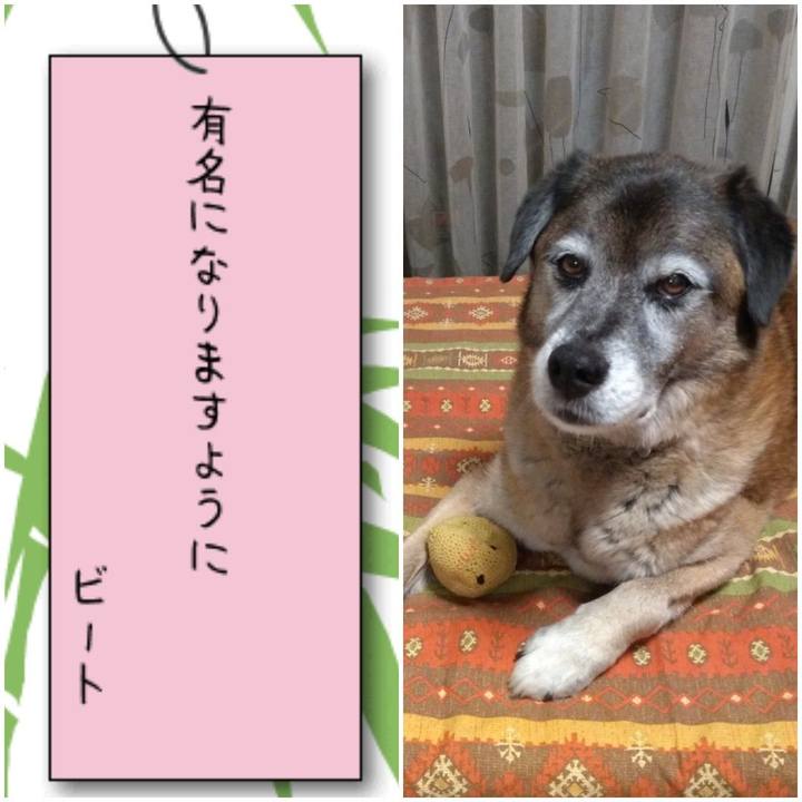 5cab87fd 7237 4b49 b533 d628f62110af 1562492741267