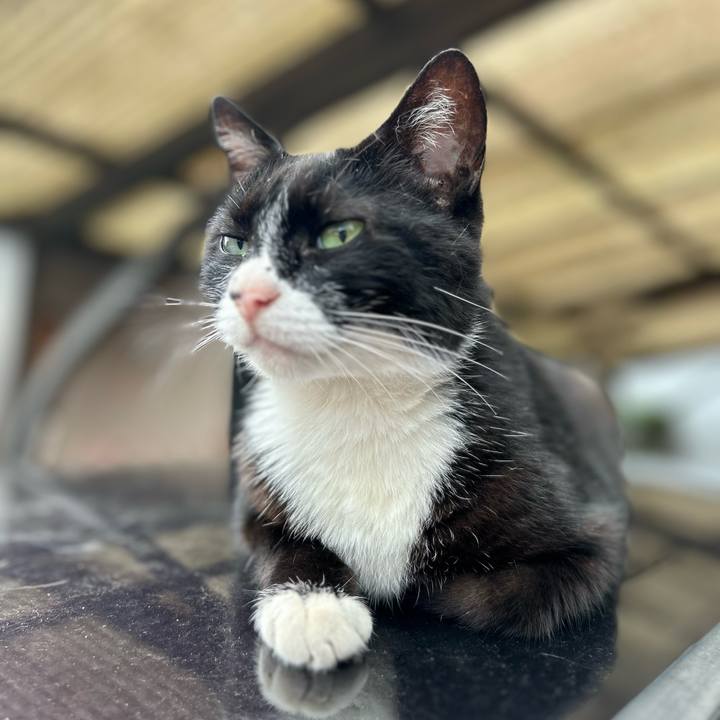 5cab9970 c0eb 4497 bdce 4aa362069bda 1720778007845