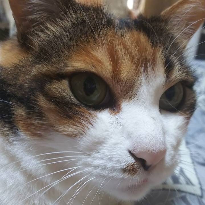 5cabbea4 4175 4201 ac64 ee8bae4bb3d6 1566610216525