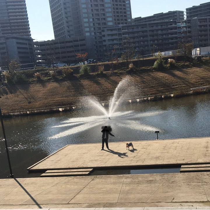 5cabcf1c 1f81 484a a5ce f0a54991378a 1576314770725