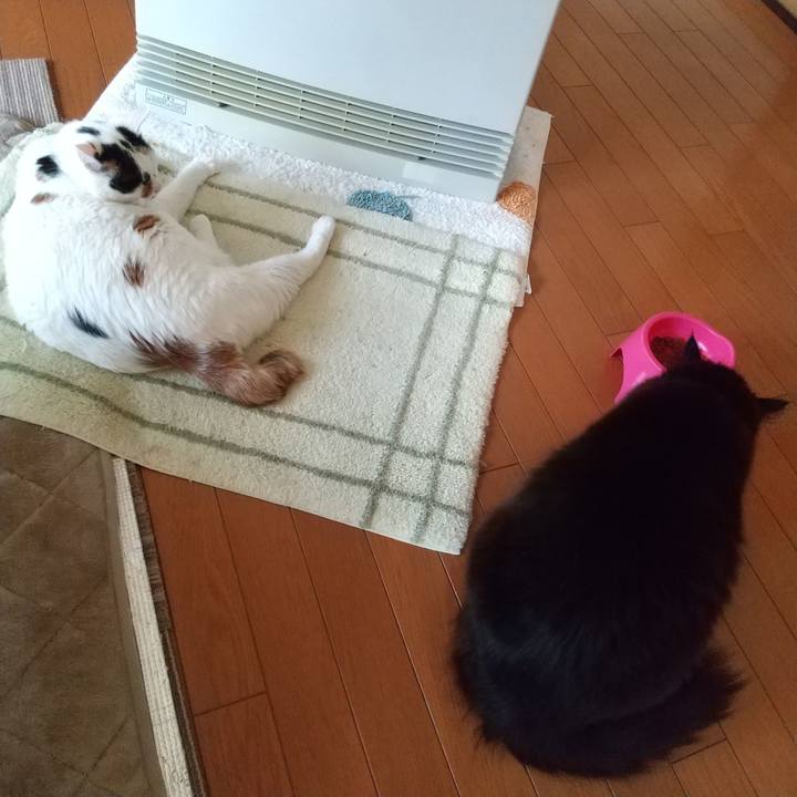 5cabfd5e 36a7 4bb9 a20c c0f826d69f81 1646953119643