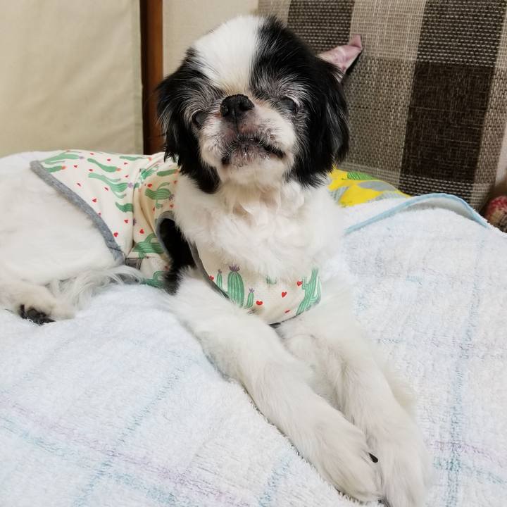 5cac0201 b3f7 4ff7 8f32 dfe17a473d81 1628312987195