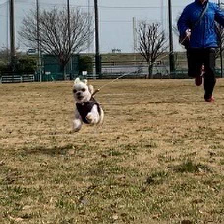 5cac50a9 603c 4c31 97d1 320bbeecbccc 1551501640446