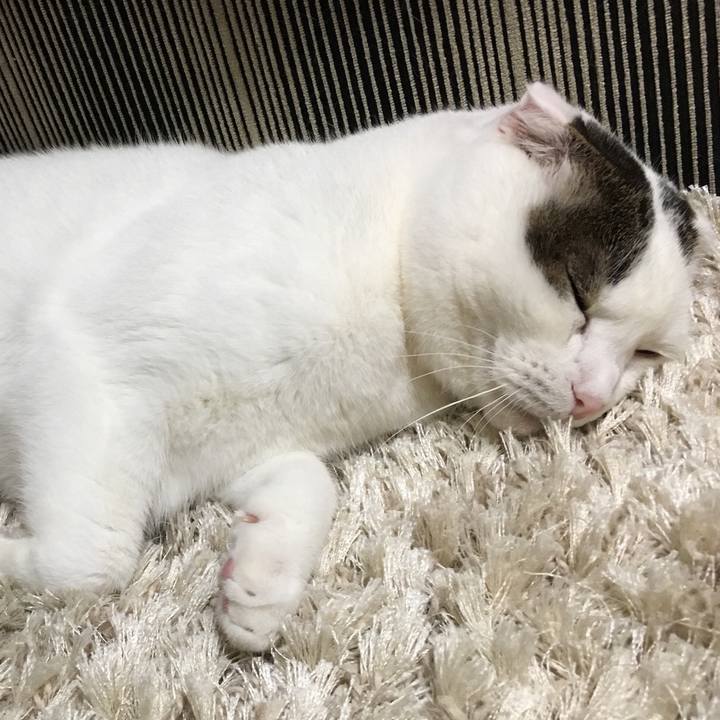 5cac902c 60b4 4a29 a3e5 d7be6b499303 1511783495140