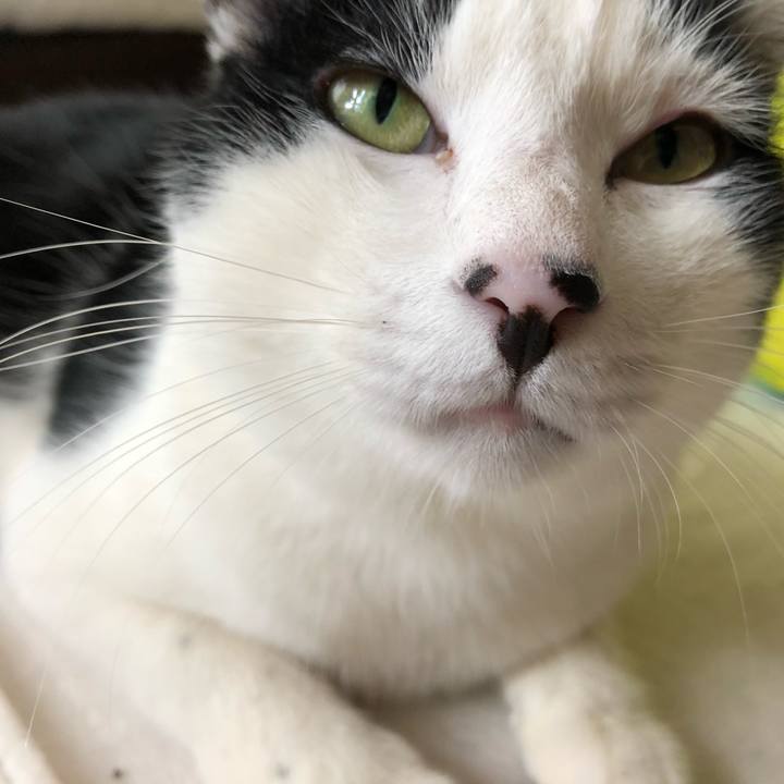 5cacb467 a2ed 4402 a3a4 2dec8fc5434b 1551147476134