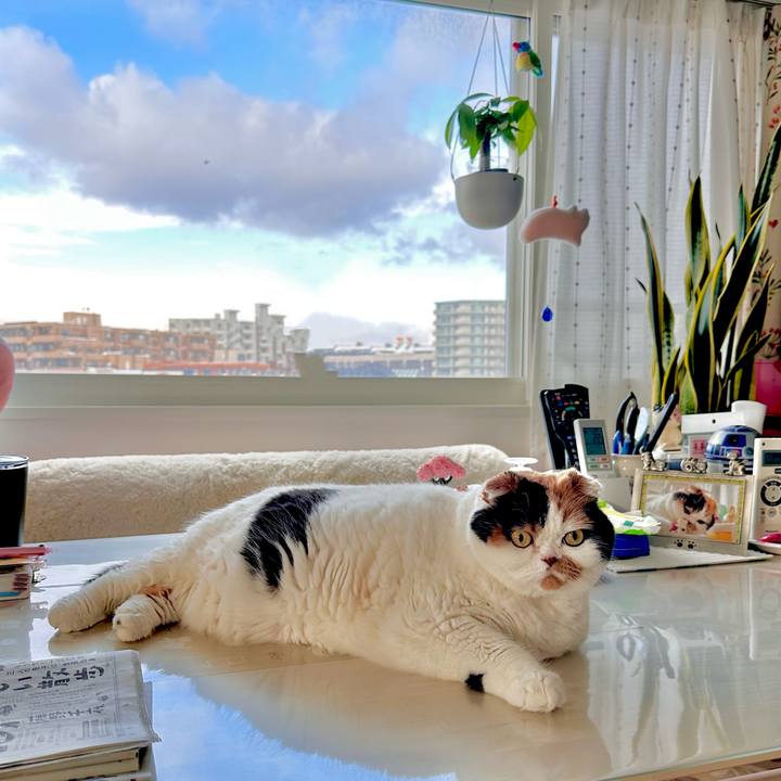 5cacd03b 8edb 4ac5 afeb a7ed80d54cd6 1705017354810