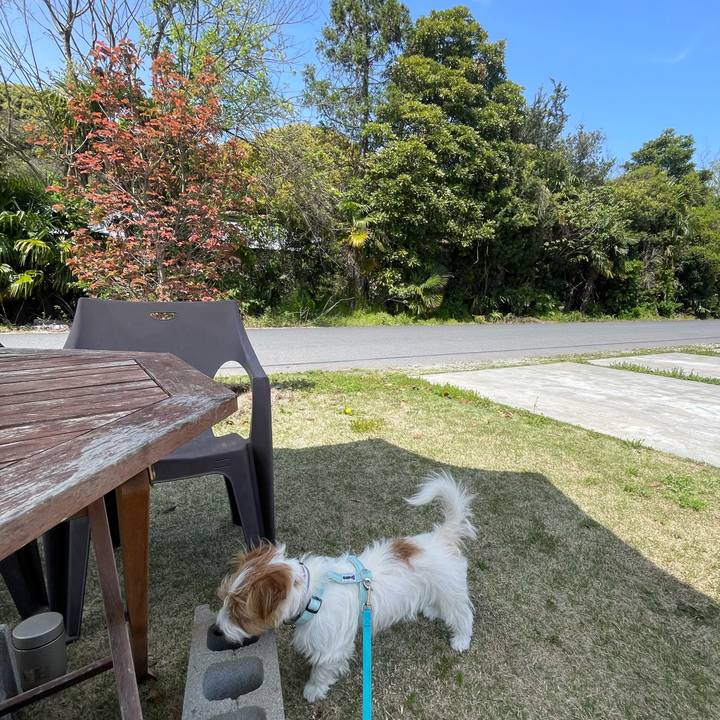 5cacf1fa 2f17 476c a5eb d9e549be7bed 1776430469970