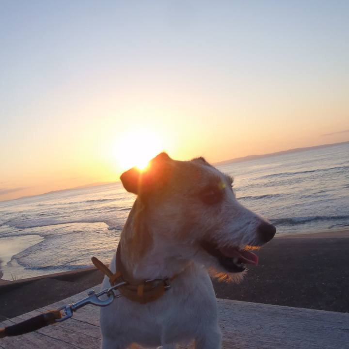 5cad4230 c184 446d a010 f8adb15d107b 1541845055824