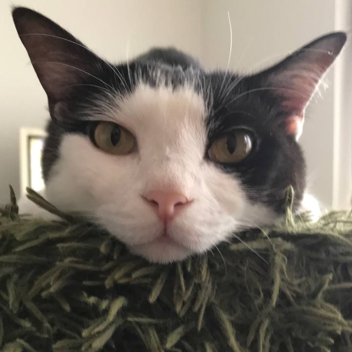 5cad6755 e979 45bd 8b82 3459f5febfe4 1527751303023