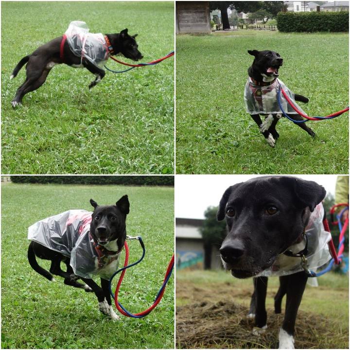 5cada27a 7e8b 40cb 93a5 e884acd1b0cd 1601077367103