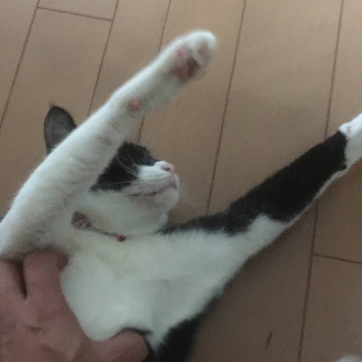 5cadb457 733f 45f5 a1c5 23a825de083d 1589861152229