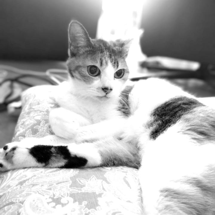 5cadb99c 5751 412d 9de6 a1157cbe87d0 1754664427902