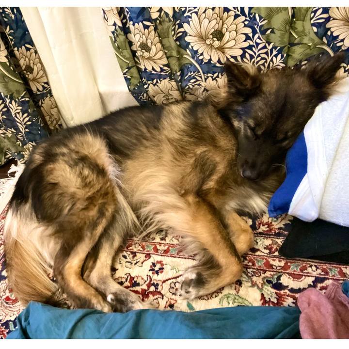 5cadf3bf 80f7 482c b1fb d31a86b557ca 1765275543791