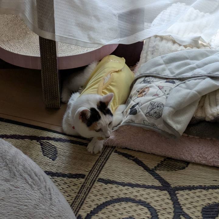 5cae37e2 1bb4 4cba 8388 9b0f148cb938 1725954288081