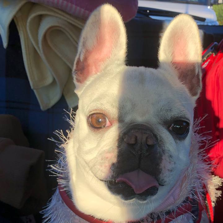 5cae64c1 9976 4c83 a342 5c68d7ad6502 1544869838599