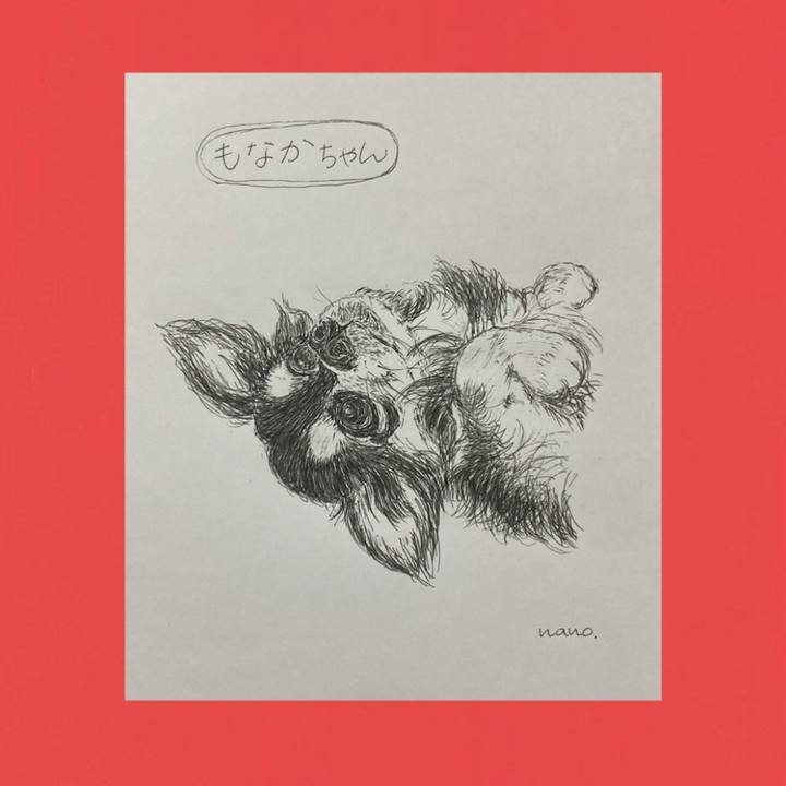 5caec448 571f 416d 8f29 2cbdd1e8d861 1655584636444