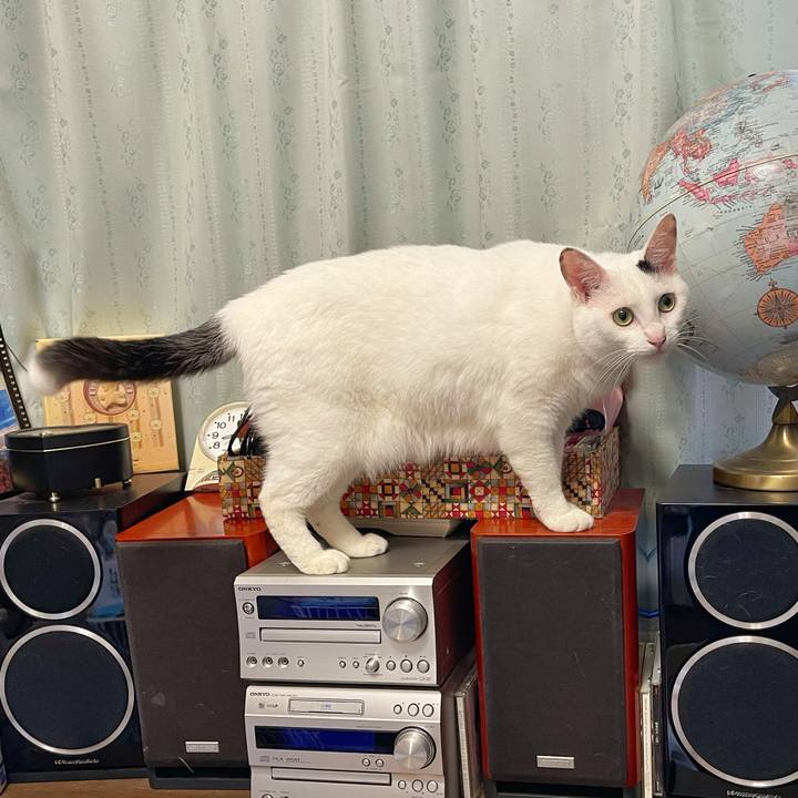 5caec8bb 6eb0 4498 aa90 9239b5c0e042 1749077799869